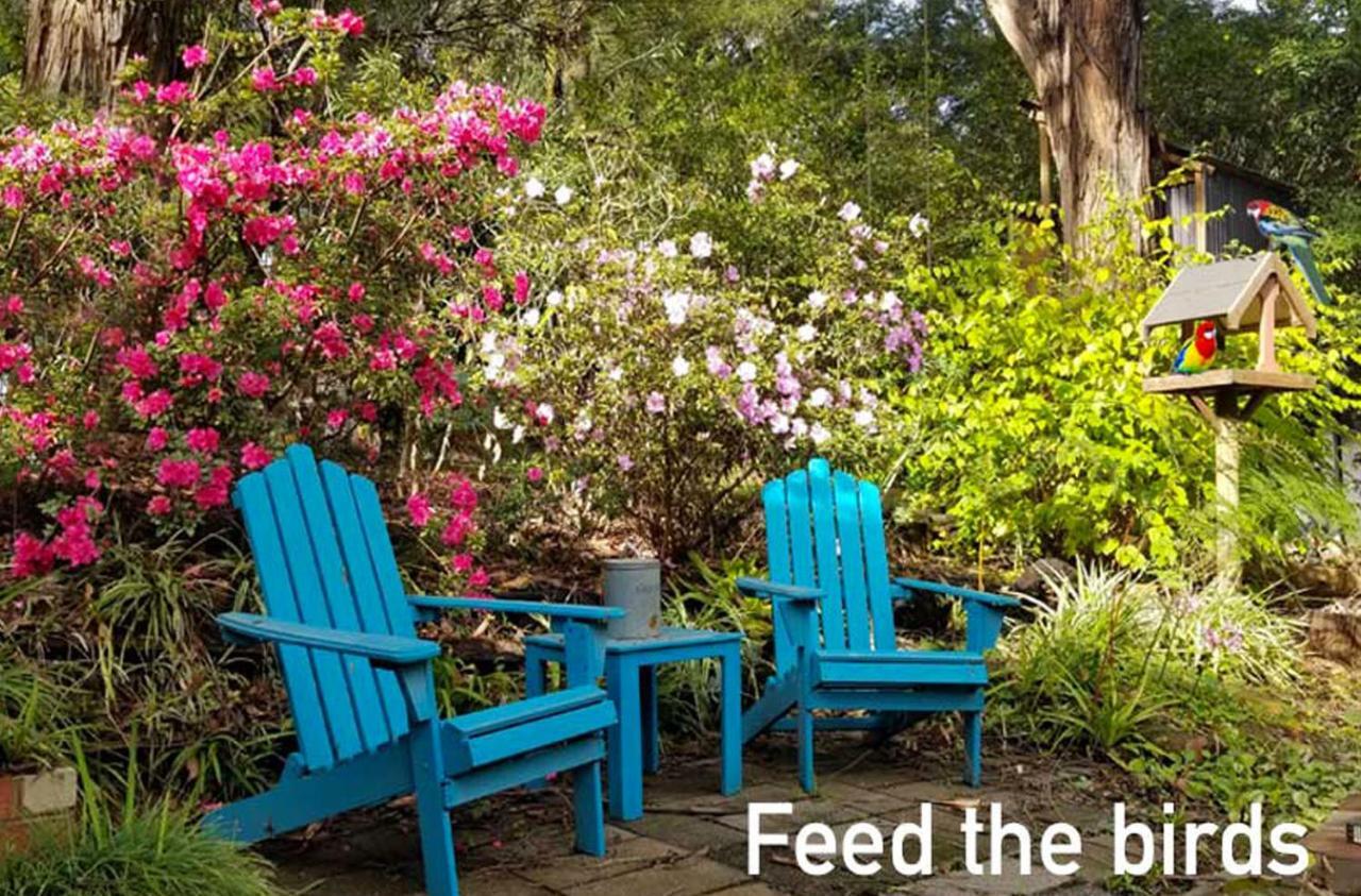 Ferny Hill Retreat, Emerald Victoria 외부 사진