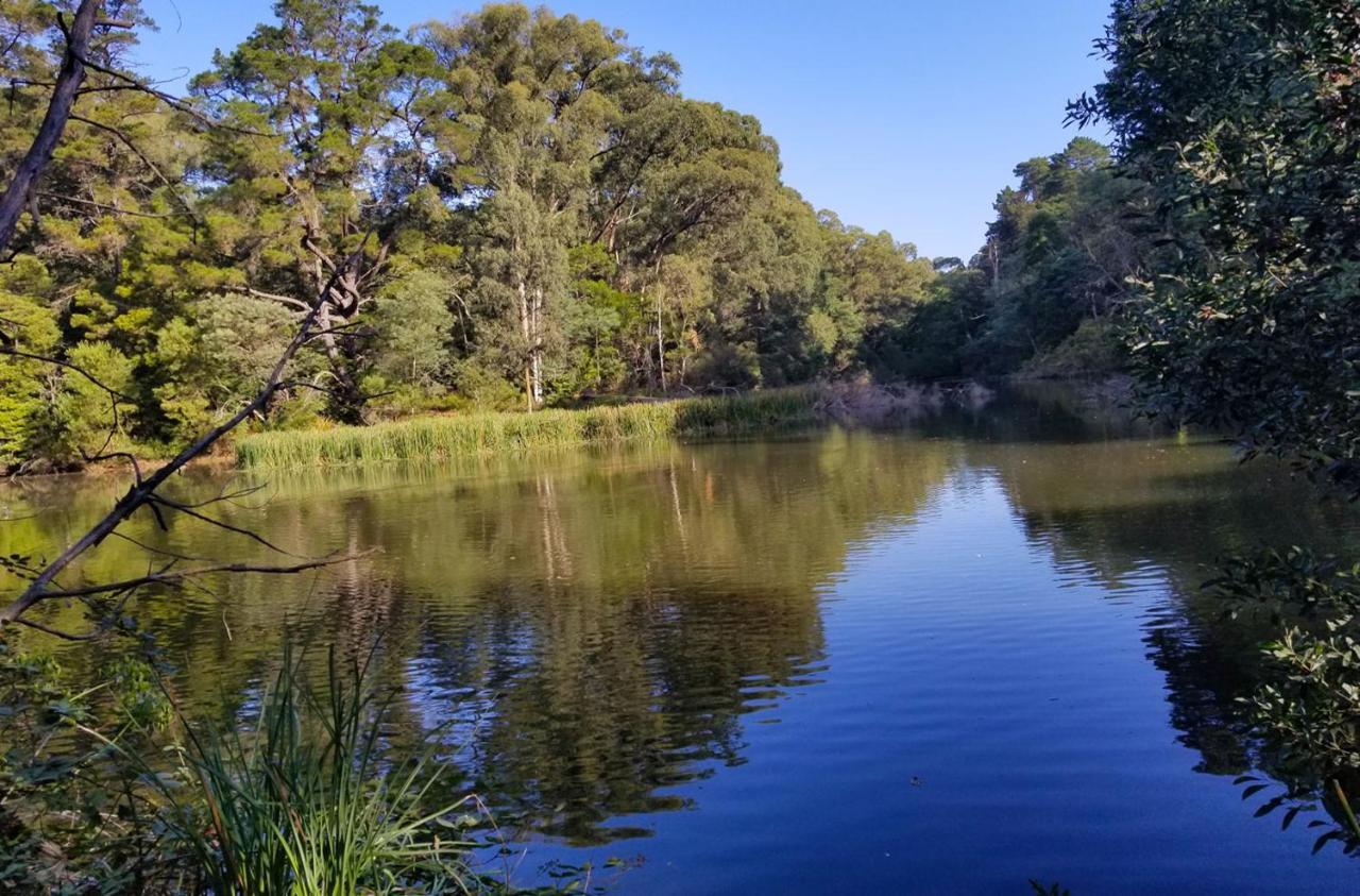 Ferny Hill Retreat, Emerald Victoria 외부 사진