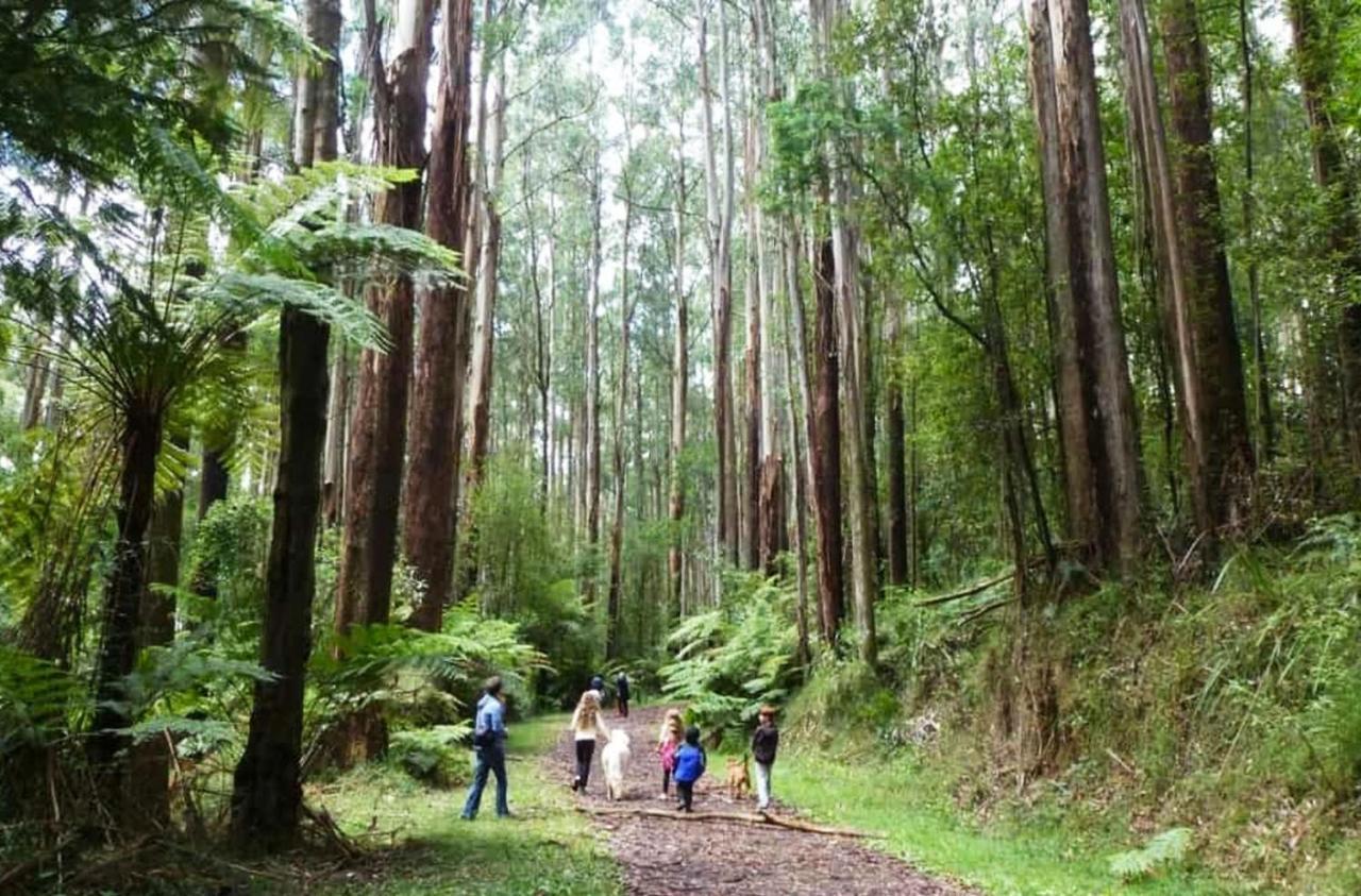 Ferny Hill Retreat, Emerald Victoria 외부 사진
